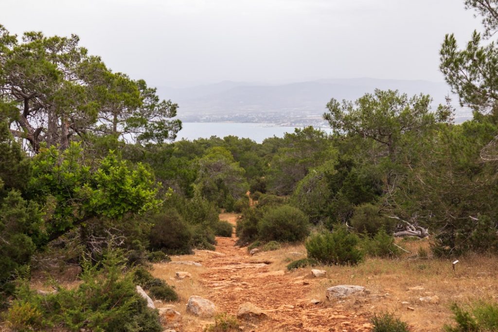 Photo Cyprus Landscape
