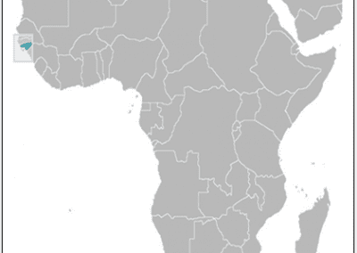 two tone Guinea-Bissau map