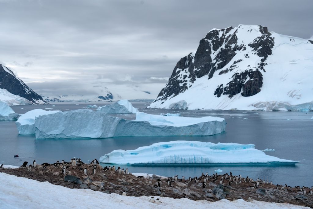 Photo Icebergs