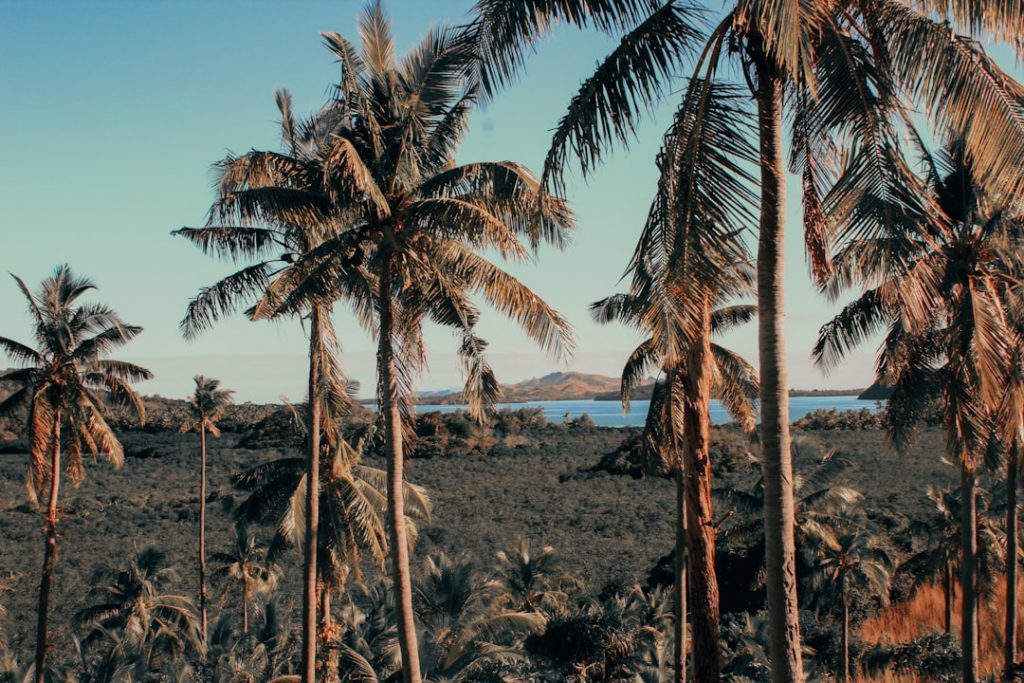 Photo Fiji landscape