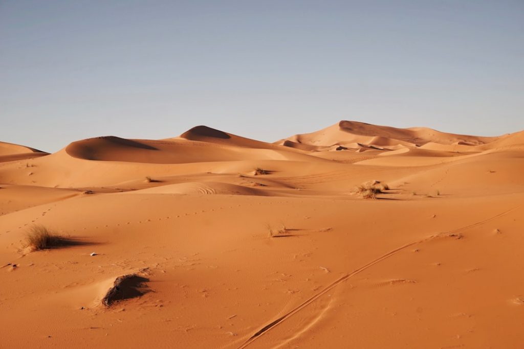 Photo Desert dunes